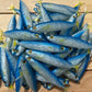 6" Exclusive Opelu Custom Soft bait.