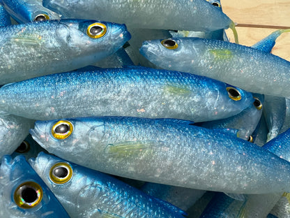 6" Opelu Custom Soft bait.
