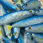 6" Exclusive Opelu Custom Soft bait.