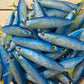 6" Exclusive Opelu Custom Soft bait.
