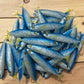 6" Exclusive Opelu Custom Soft bait.