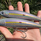 6" Disco Obake Oama. Papio Diver XL