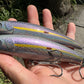 6" Disco Obake Oama. Papio Diver XL