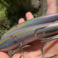6" Disco Obake Oama. Papio Diver XL