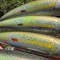 6" Hologram Oama Papio Diver XL with hooks and hardware.