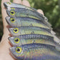 3.5" Viper Blue Vibe with hooks and split rings.
