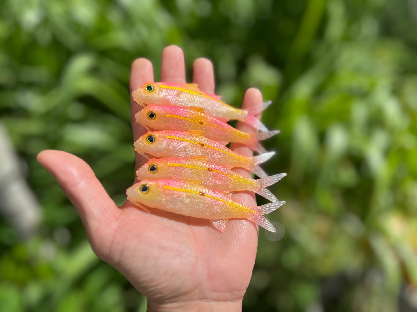4" Pink Lemonade Oama Softbait. Sold individually.