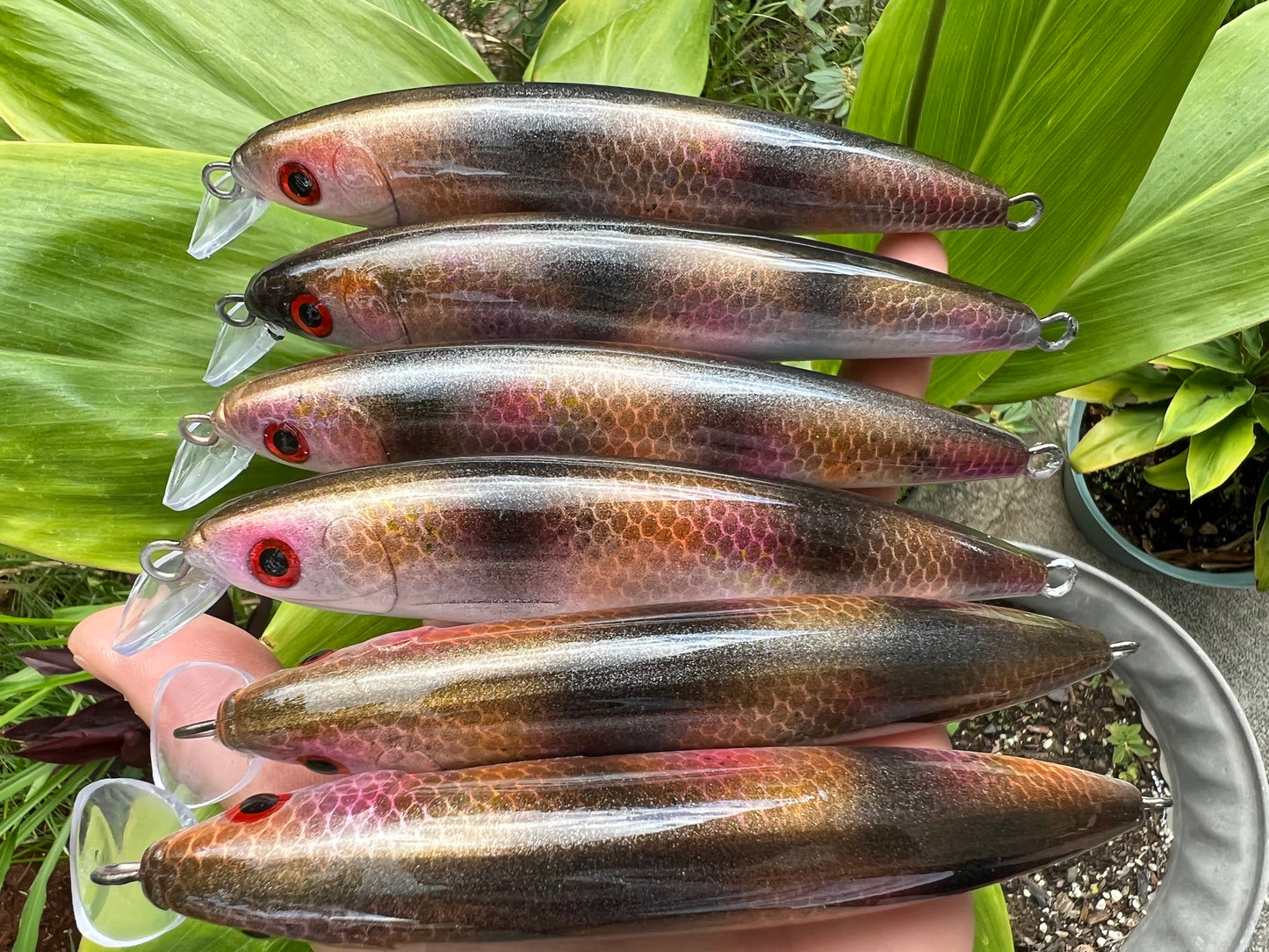 6" Moana Papio Divers XL