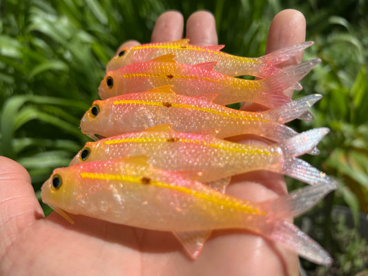 4" Pink Lemonade Oama Softbait. Sold individually.