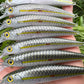 4.5" Viper Silver Oama, Papio Diver. sold with hooks and split rings.