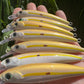 3" Gold Top Oama - Papio Diver. Comes with hooks and hardware.