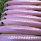 4.5" Pink Obake Oama - Papio Diver. Comes with hooks and split rings.