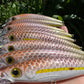 4.5" Viper Weke, Papio Diver. Hooks and split rings included.