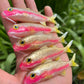 4" Hot Pink Strip Oama Softbait. Sold individually.