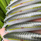 4.5" Viper Silver Oama, Papio Diver. sold with hooks and split rings.