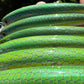 4.5" Viper Green V2 Oama Papio Diver. Sold with hooks and hardware.