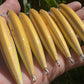 3" Gold Top Oama - Papio Diver. Comes with hooks and hardware.