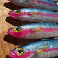 6" Hot Pink Strip Opelu Softbait. Sold individually.