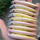 4.5"  Obake Oama -Papio Divers. Comes with hooks and split rings.