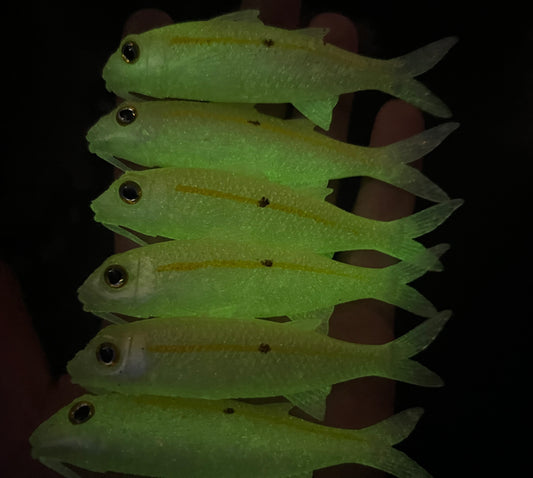 4" GLOAMA Custom. Sold individually.