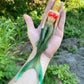 8” Mermaid Soft bait.
