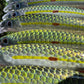 4.5" Viper Green Oama Papio Diver. Sold with hooks and hardware.