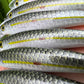 4.5" Viper Silver Oama, Papio Diver. sold with hooks and split rings.
