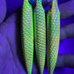 4.5" Viper ROCKER full UV Papio Diver Oama. Sold with hooks and hardware.