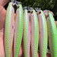 4.5" Obake Green Oama- Papio Diver. Comes with hooks and split rings.