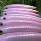 4.5" Pink Obake Oama - Papio Diver. Comes with hooks and split rings.