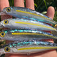 Limited 4.5" Sardine Papio Diver.